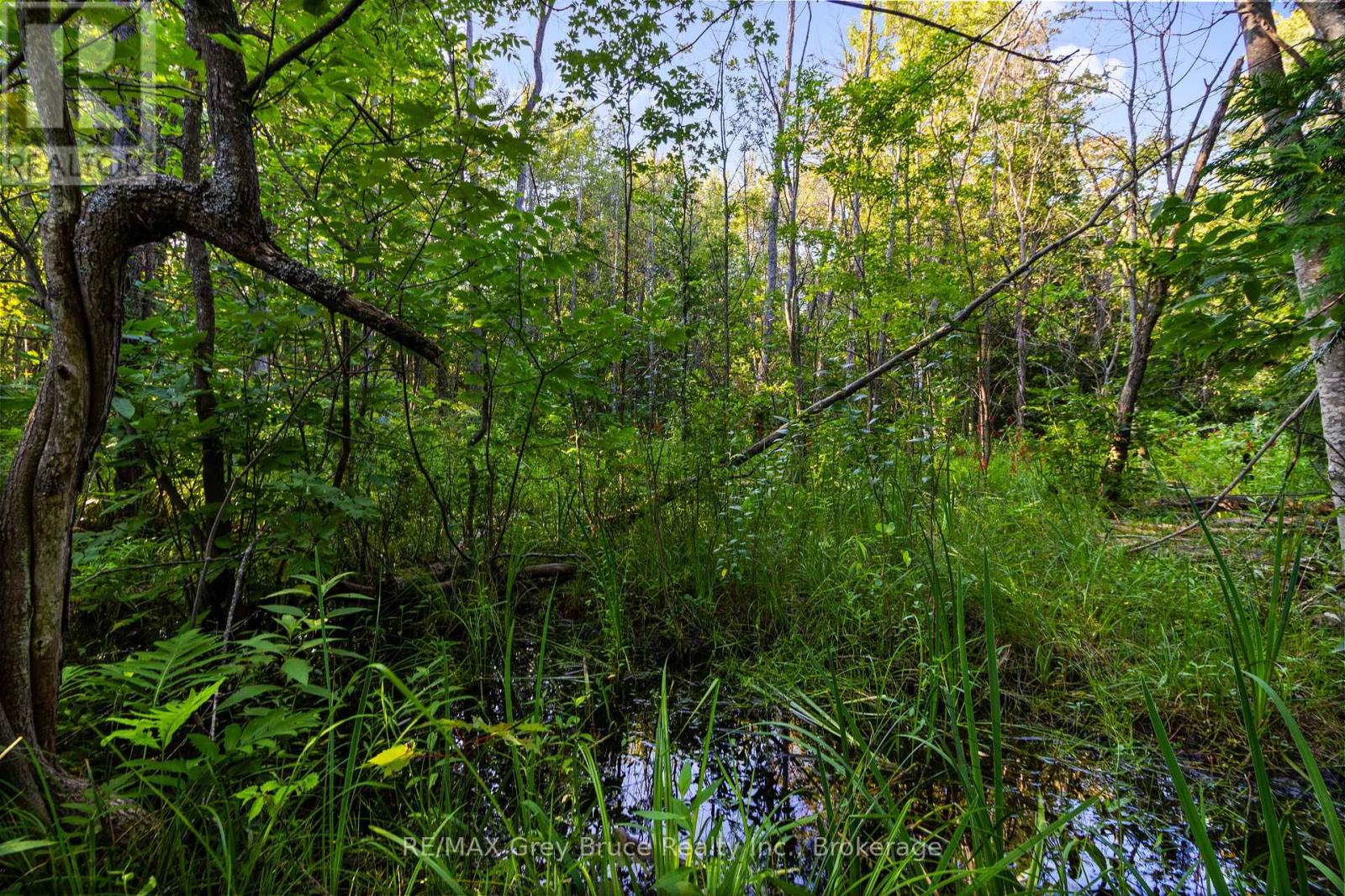 Pt 9/10 Highway 6, Northern Bruce Peninsula, Ontario  N0H 1Z0 - Photo 17 - X11964300