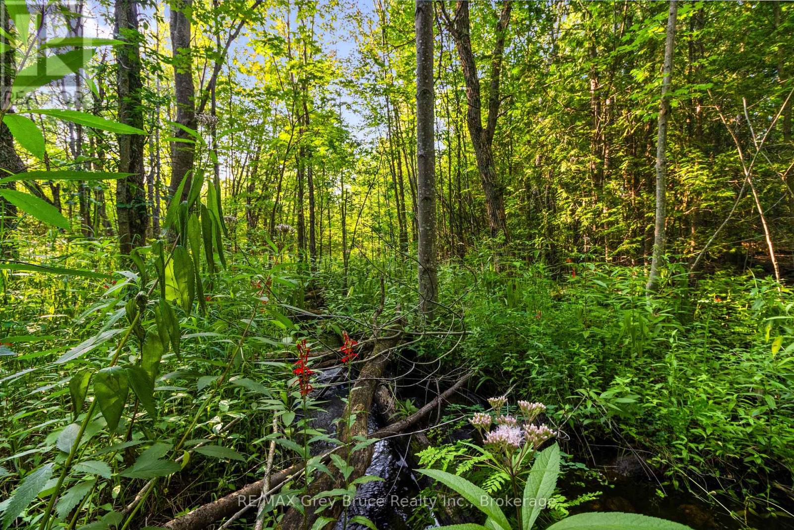 Pt 9/10 Highway 6, Northern Bruce Peninsula, Ontario  N0H 1Z0 - Photo 21 - X11964300