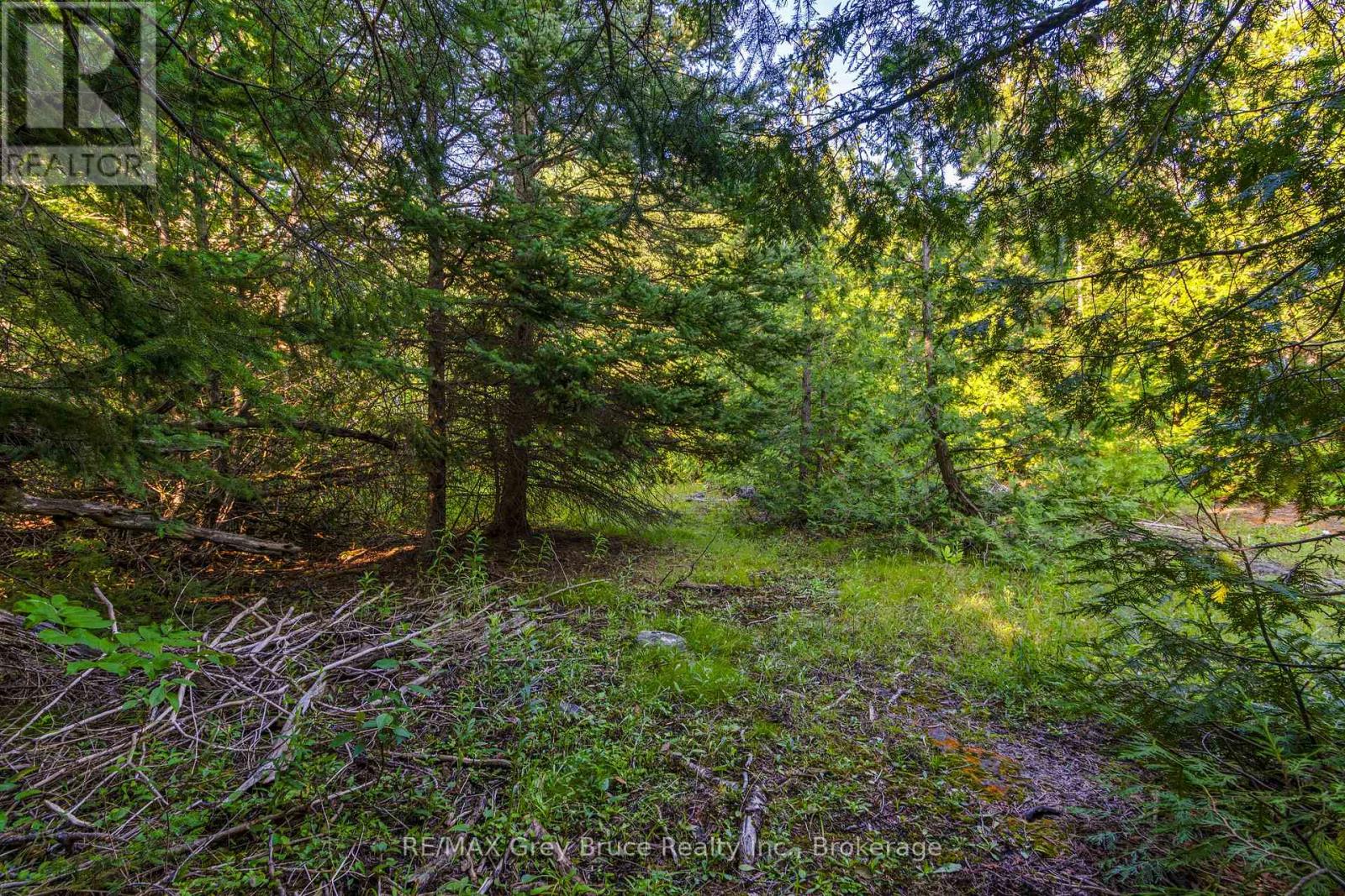 Pt 9/10 Highway 6, Northern Bruce Peninsula, Ontario  N0H 1Z0 - Photo 16 - X11964300