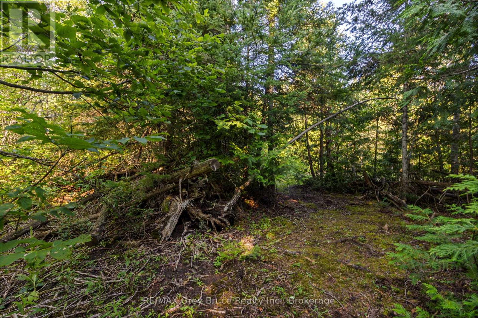 Pt 9/10 Highway 6, Northern Bruce Peninsula, Ontario  N0H 1Z0 - Photo 15 - X11964300