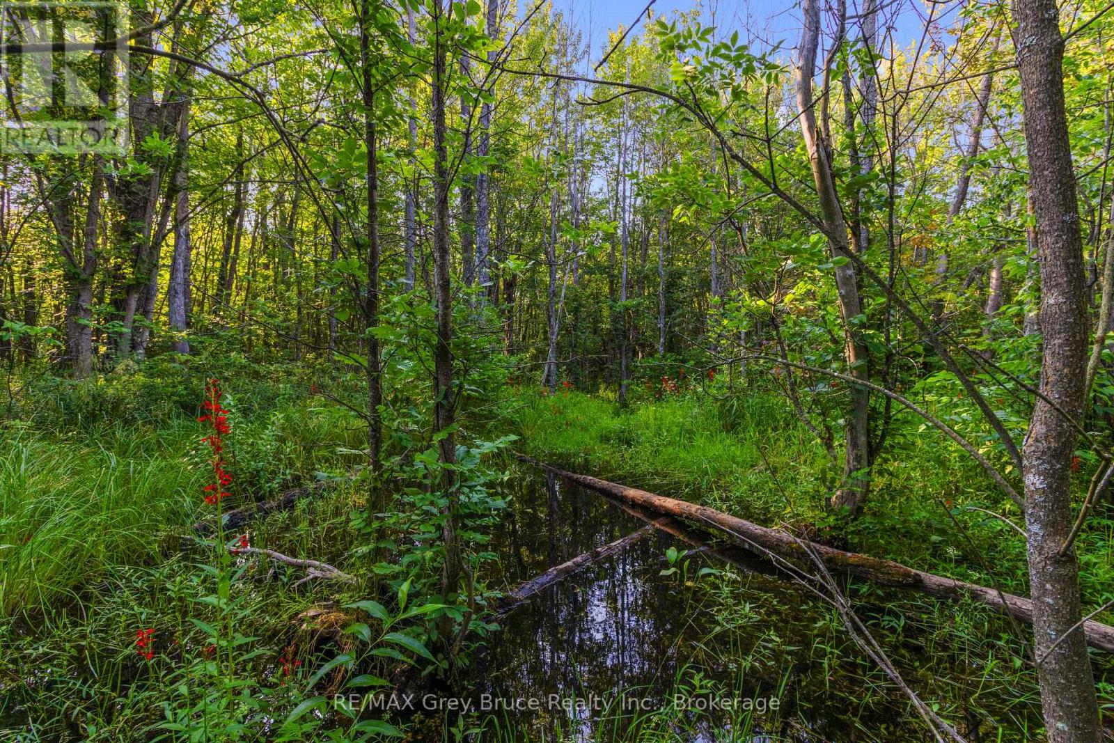 Pt 9/10 Highway 6, Northern Bruce Peninsula, Ontario  N0H 1Z0 - Photo 18 - X11964300