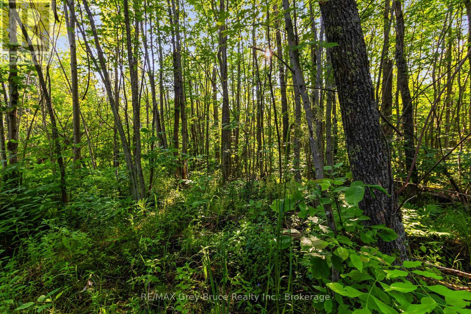 Pt 9/10 Highway 6, Northern Bruce Peninsula, Ontario  N0H 1Z0 - Photo 19 - X11964300