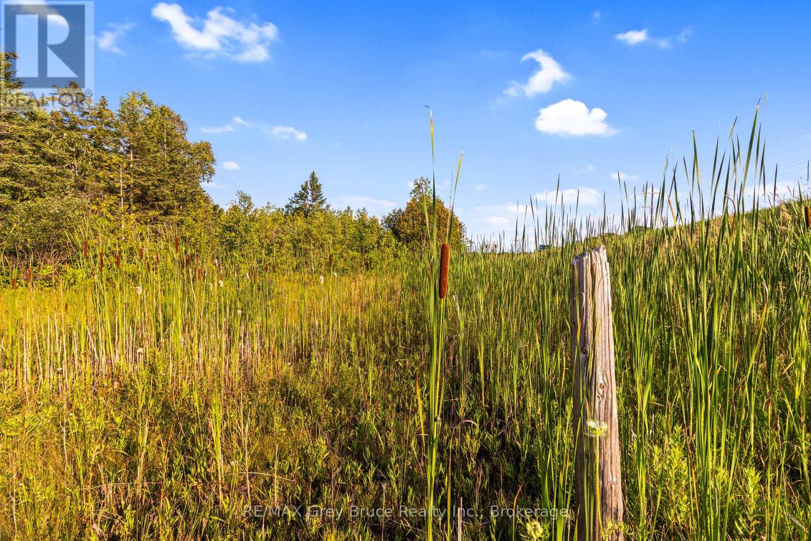 Pt 9/10 Highway 6, Northern Bruce Peninsula, Ontario  N0H 1Z0 - Photo 27 - X11964300