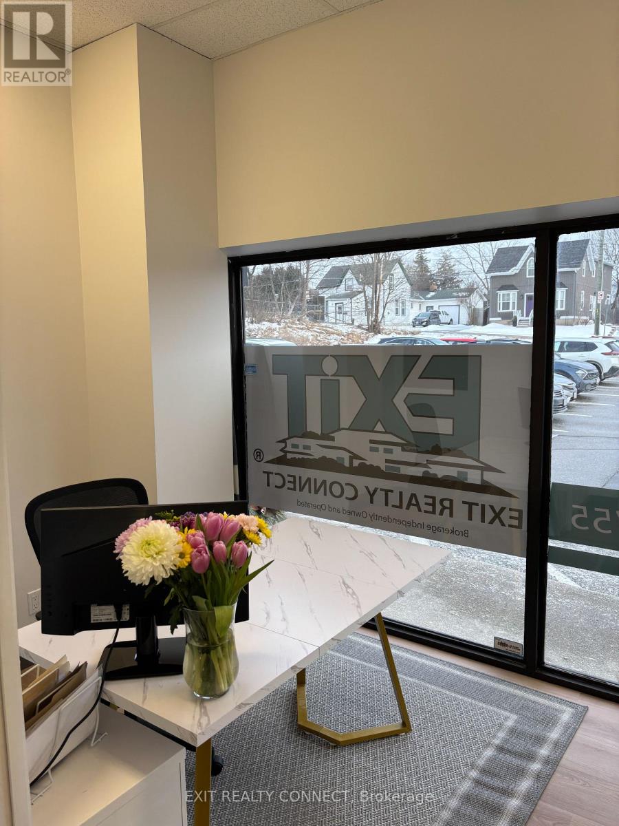 101 - 310 Main Street, Milton, Ontario  L9T 1P5 - Photo 1 - W12020993