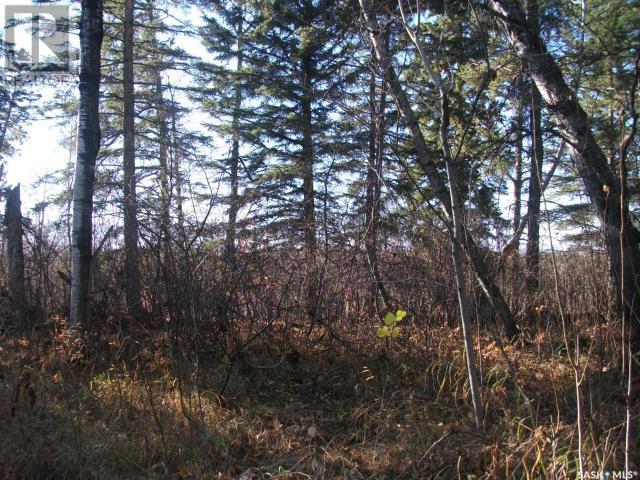 Regional Park Lot 5-3, Hudson Bay Rm No. 394, Saskatchewan  S0E 0Y0 - Photo 10 - SK002613