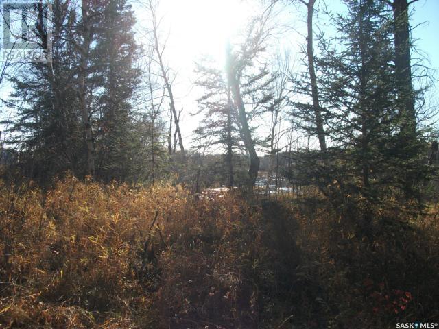 Regional Park Lot 5-3, Hudson Bay Rm No. 394, Saskatchewan  S0E 0Y0 - Photo 6 - SK002613