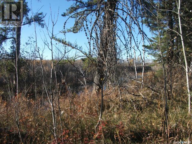 Regional Park Lot 5-3, Hudson Bay Rm No. 394, Saskatchewan  S0E 0Y0 - Photo 8 - SK002613