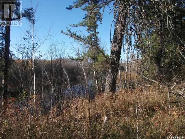 Regional Park Lot 5-3, Hudson Bay Rm No. 394, Saskatchewan  S0E 0Y0 - Photo 9 - SK002613