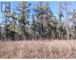 Regional Park Lot 5-3, Hudson Bay Rm No. 394, Ca