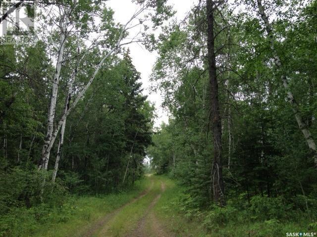 Regional Park Lot 4-3, Hudson Bay Rm No. 394, Saskatchewan  S0E 0Y0 - Photo 1 - SK002612