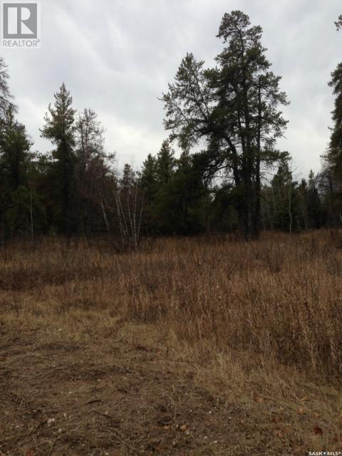 Regional Park Lot 4-3, Hudson Bay Rm No. 394, Saskatchewan  S0E 0Y0 - Photo 7 - SK002612