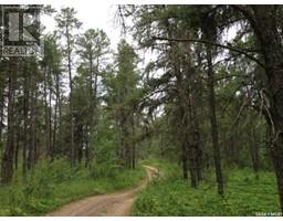 Regional Park Lot 1-3, Hudson Bay Rm No. 394, Ca