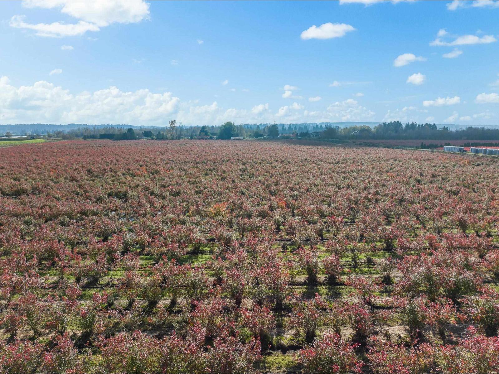 15729 48 Avenue, Surrey, British Columbia  V3S 0L2 - Photo 15 - R2990599