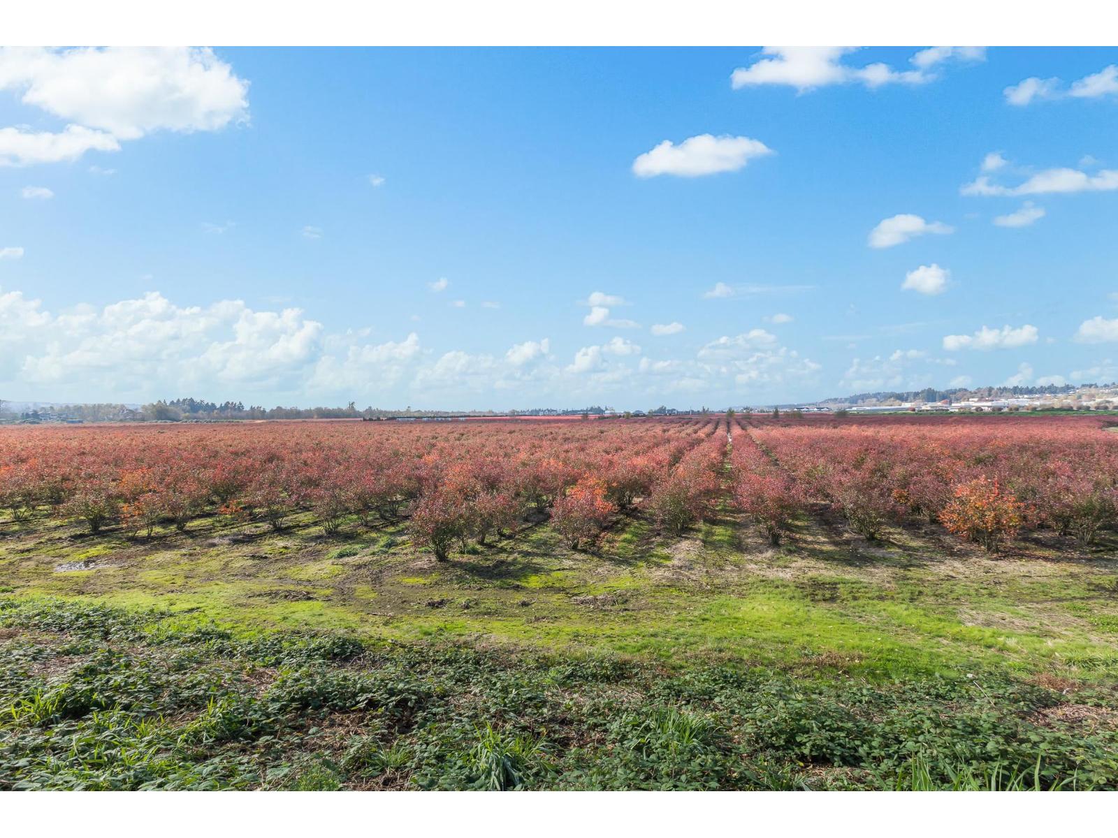 15729 48 Avenue, Surrey, British Columbia  V3S 0L2 - Photo 20 - R2990599