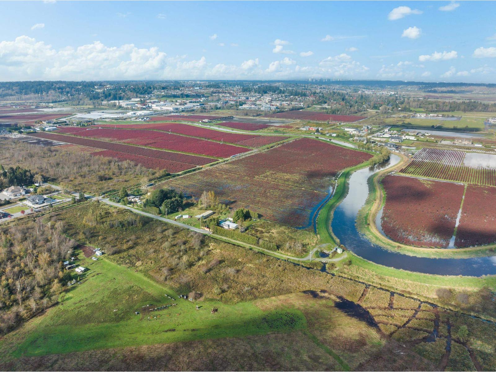 15729 48 Avenue, Surrey, British Columbia  V3S 0L2 - Photo 27 - R2990599