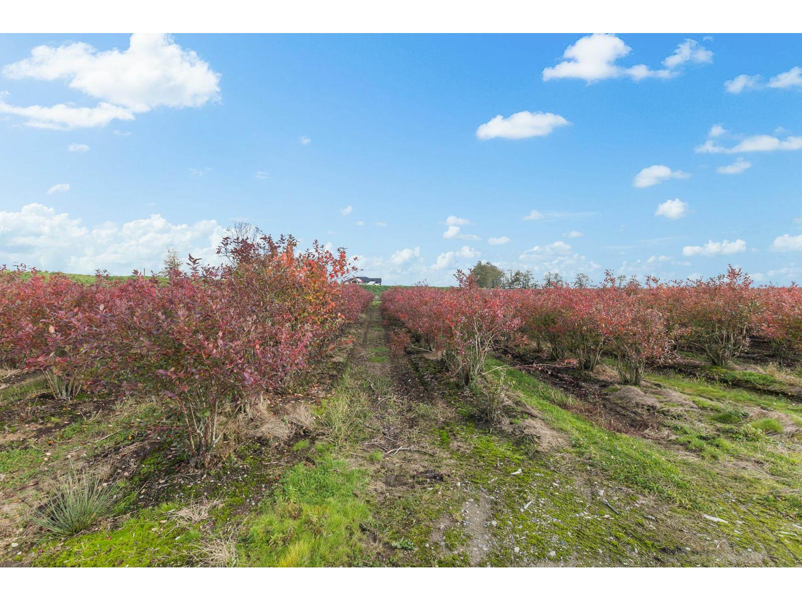 15729 48 Avenue, Surrey, British Columbia  V3S 0L2 - Photo 22 - R2990599