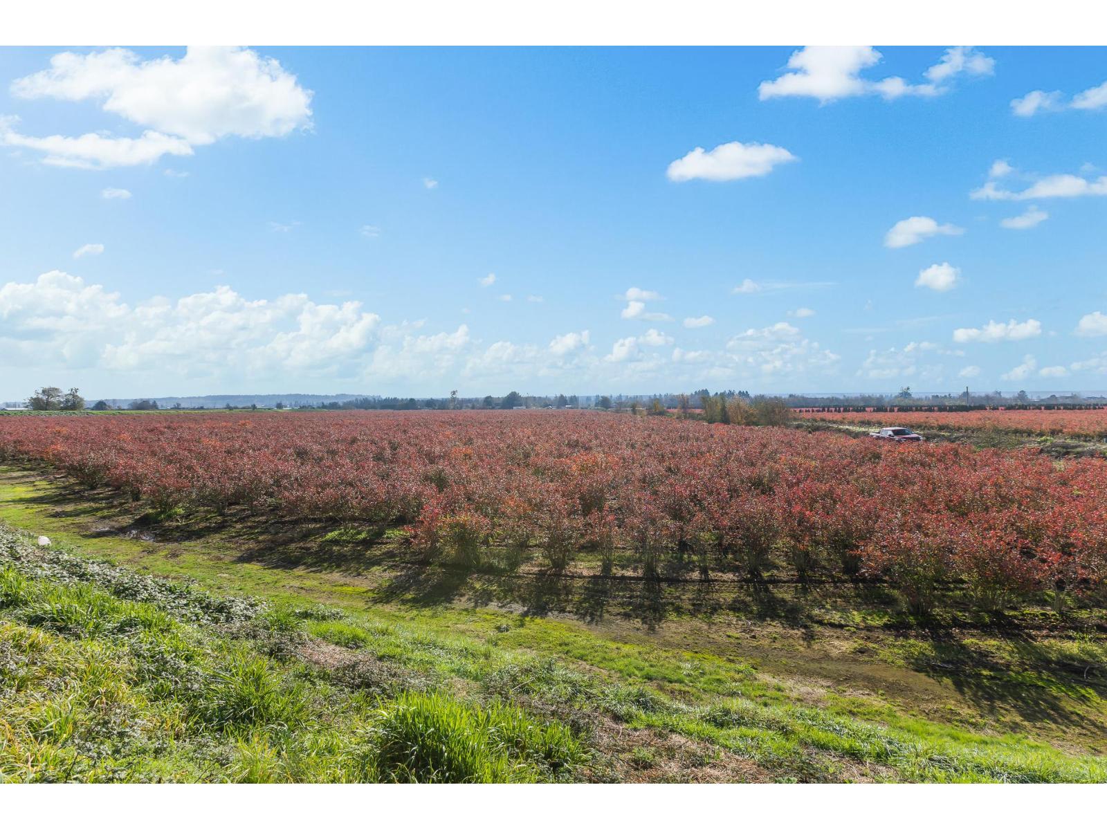 15729 48 Avenue, Surrey, British Columbia  V3S 0L2 - Photo 17 - R2990599