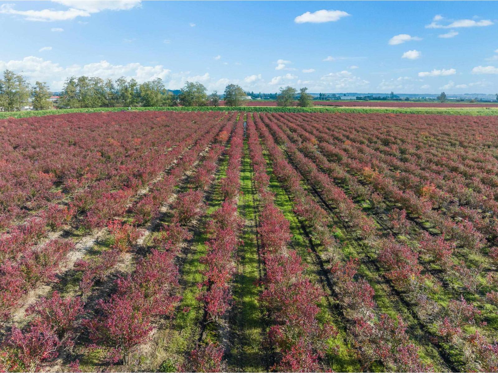 15729 48 Avenue, Surrey, British Columbia  V3S 0L2 - Photo 16 - R2990599