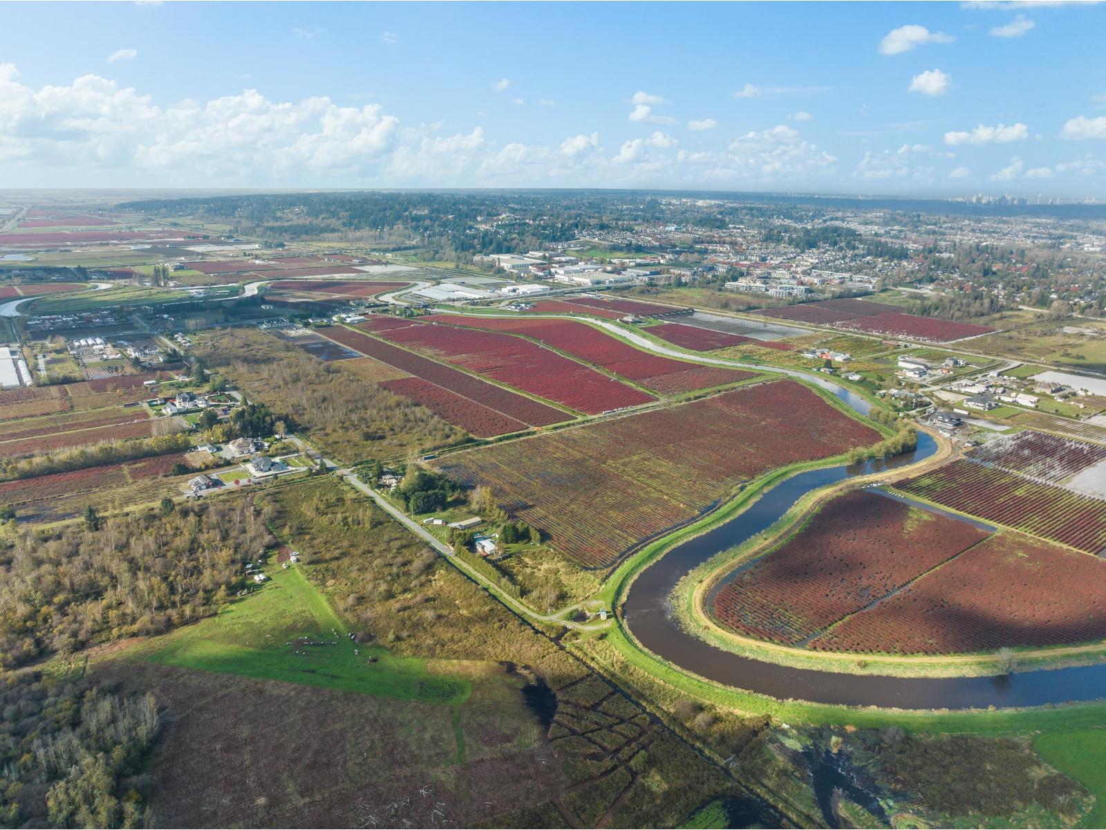 15729 48 Avenue, Surrey, British Columbia  V3S 0L2 - Photo 25 - R2990599