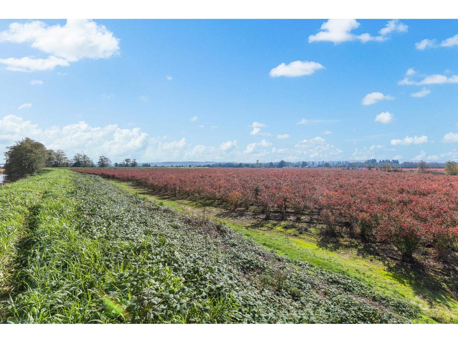 15729 48 Avenue, Surrey, British Columbia  V3S 0L2 - Photo 18 - R2990599