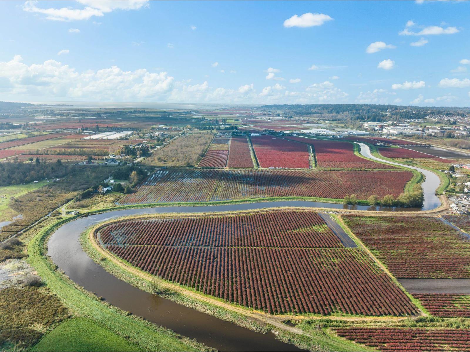 15729 48 Avenue, Surrey, British Columbia  V3S 0L2 - Photo 26 - R2990599