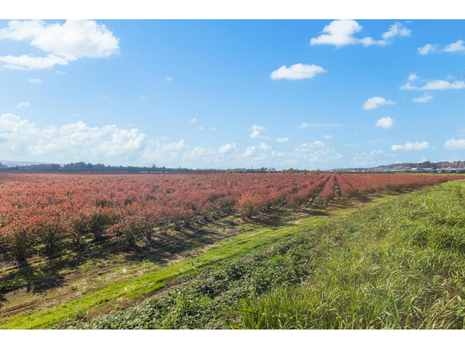 15729 48 Avenue, Surrey, British Columbia  V3S 0L2 - Photo 21 - R2990599