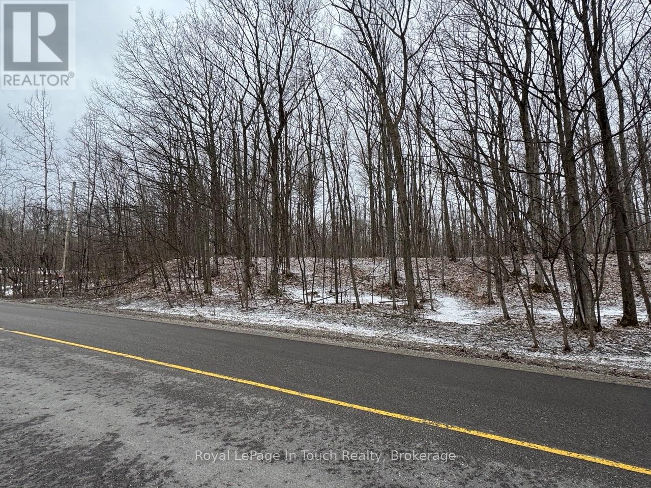 Park Lot A Champlain Road, Tiny, Ontario  L9M 0C1 - Photo 2 - S11984991