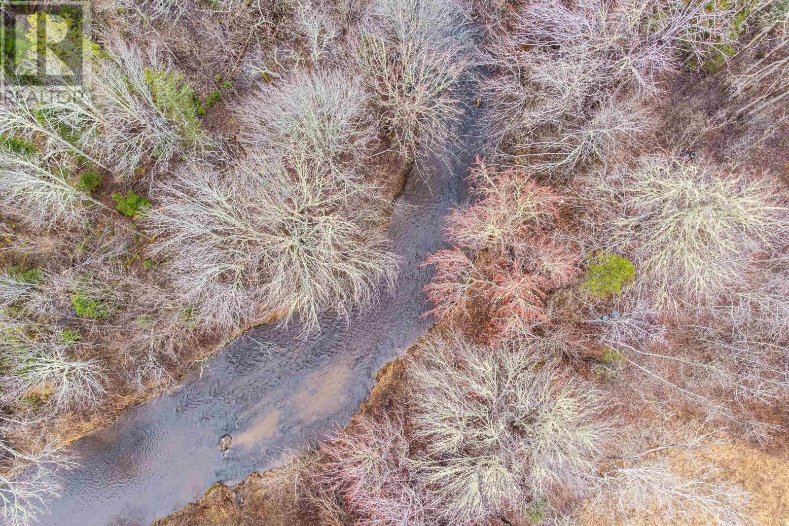 2217 Old Mill Road, South Farmington, Nova Scotia  B0P 1W0 - Photo 29 - 202508007