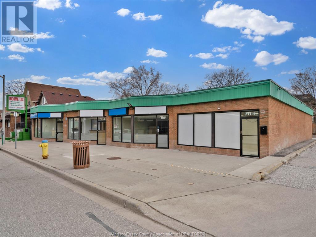 Property at 711-719 PELISSIER STREET image 3