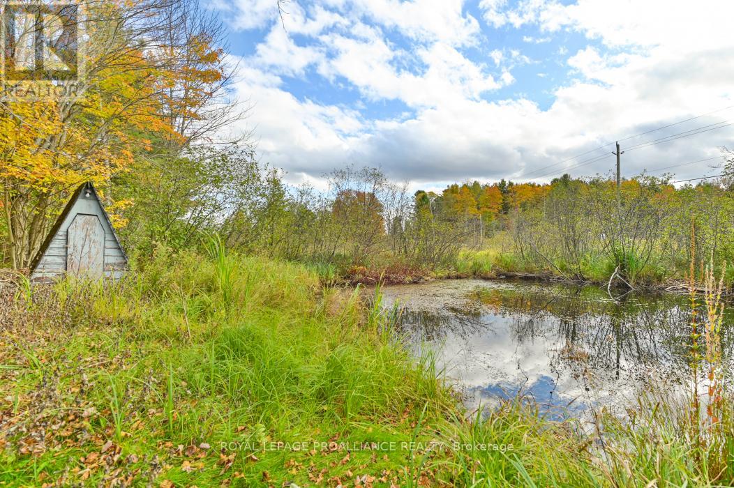 4388 Henderson Road, Frontenac, Ontario  K0H 1B0 - Photo 32 - X12086285