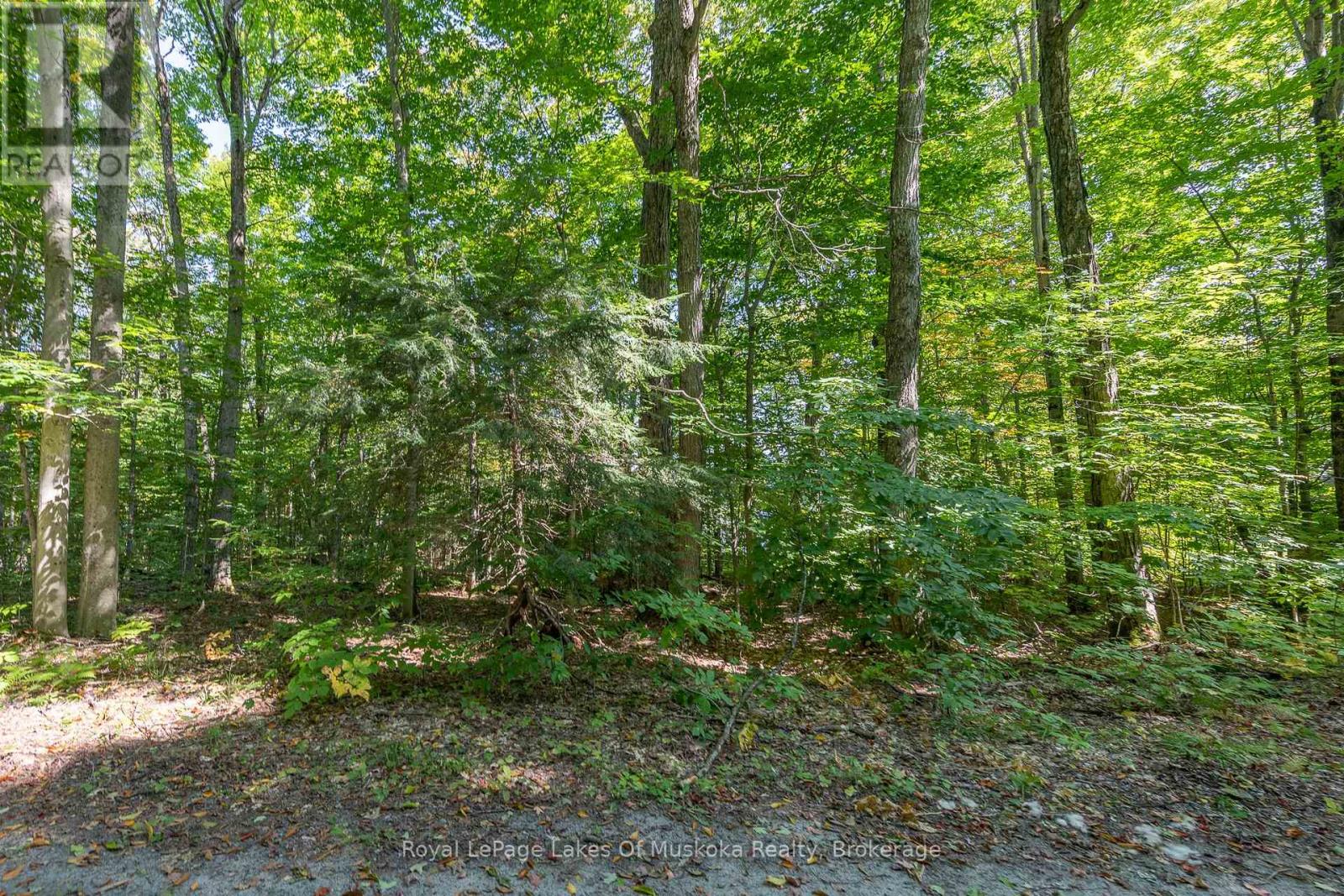 437 Otter Lake Road, Huntsville, Ontario P1H 2J3 - Photo 5 - X12086270