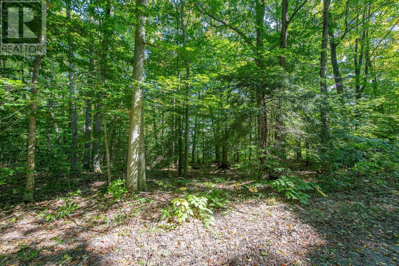 437 Otter Lake Road, Huntsville, Ontario P1H 2J3 - Photo 6 - X12086270