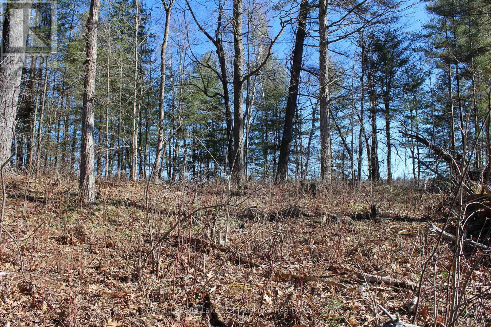 Pt Lts H&i Island 12sr Island, Gravenhurst, Ontario  P0E 1G0 - Photo 10 - X12086336