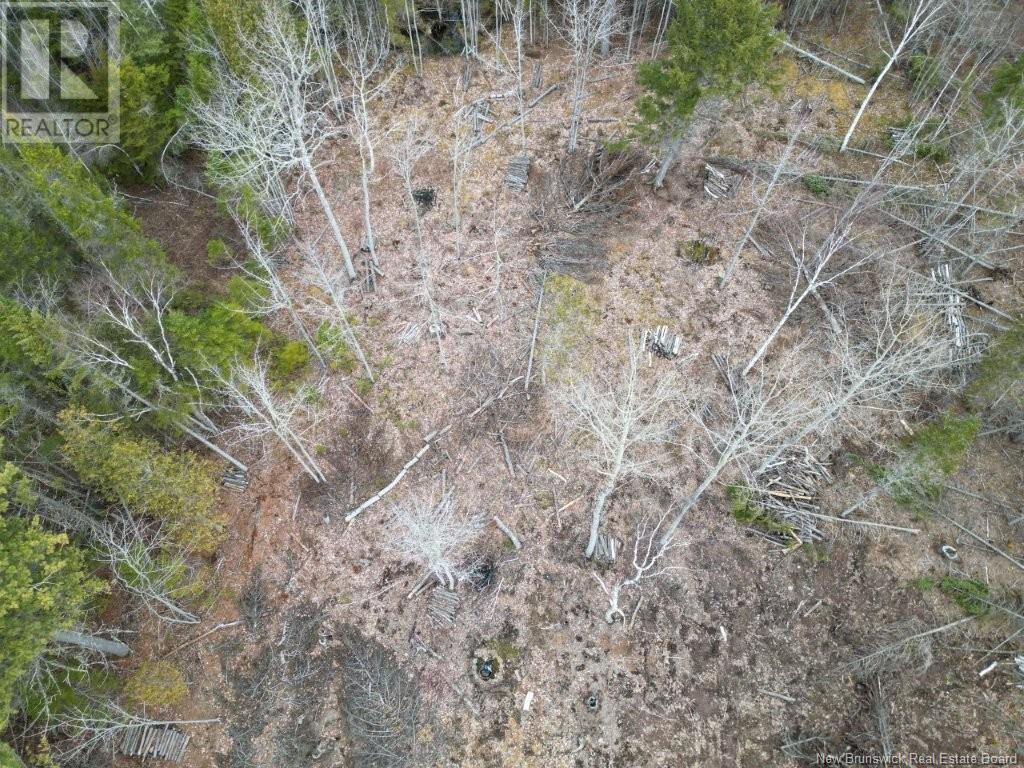 Lot 2022-2 Rte Hwy 105, Mill Cove, New Brunswick  E4C 3B2 - Photo 3 - NB116418