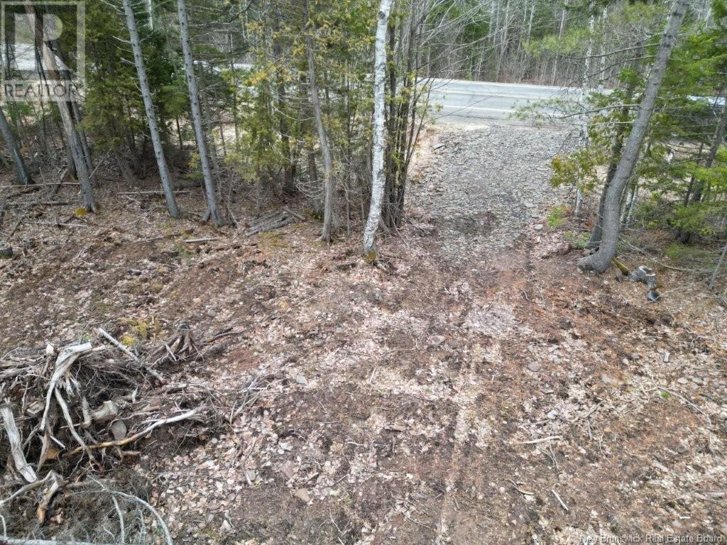 Lot 2022-2 Rte Hwy 105, Mill Cove, New Brunswick  E4C 3B2 - Photo 6 - NB116418