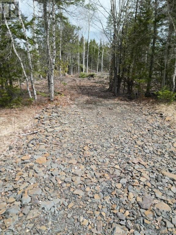 Lot 2022-2 Rte Hwy 105, Mill Cove, New Brunswick  E4C 3B2 - Photo 9 - NB116418