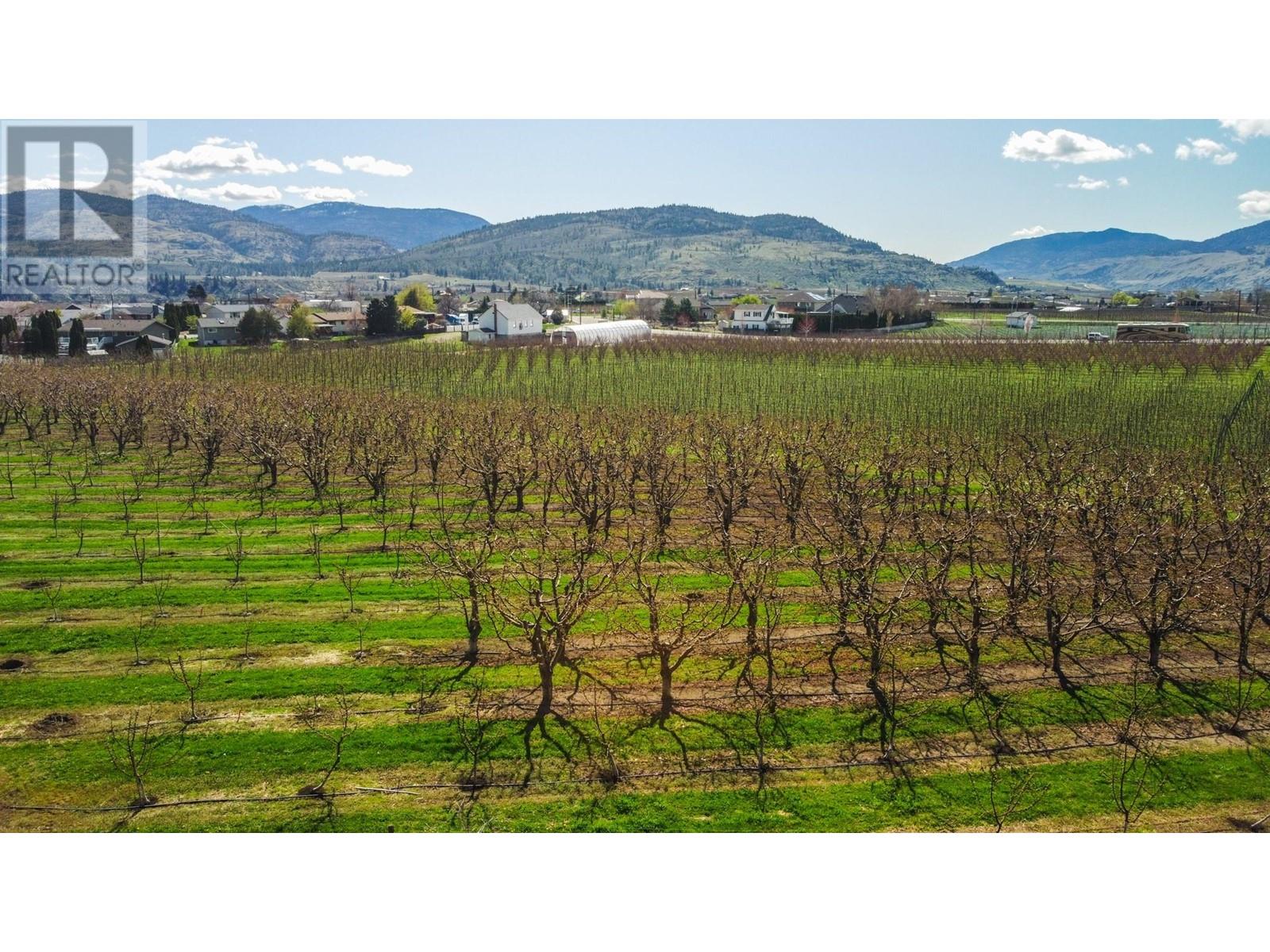 1233 Copper Road, Oliver, British Columbia  V0H 1T5 - Photo 10 - 10343710