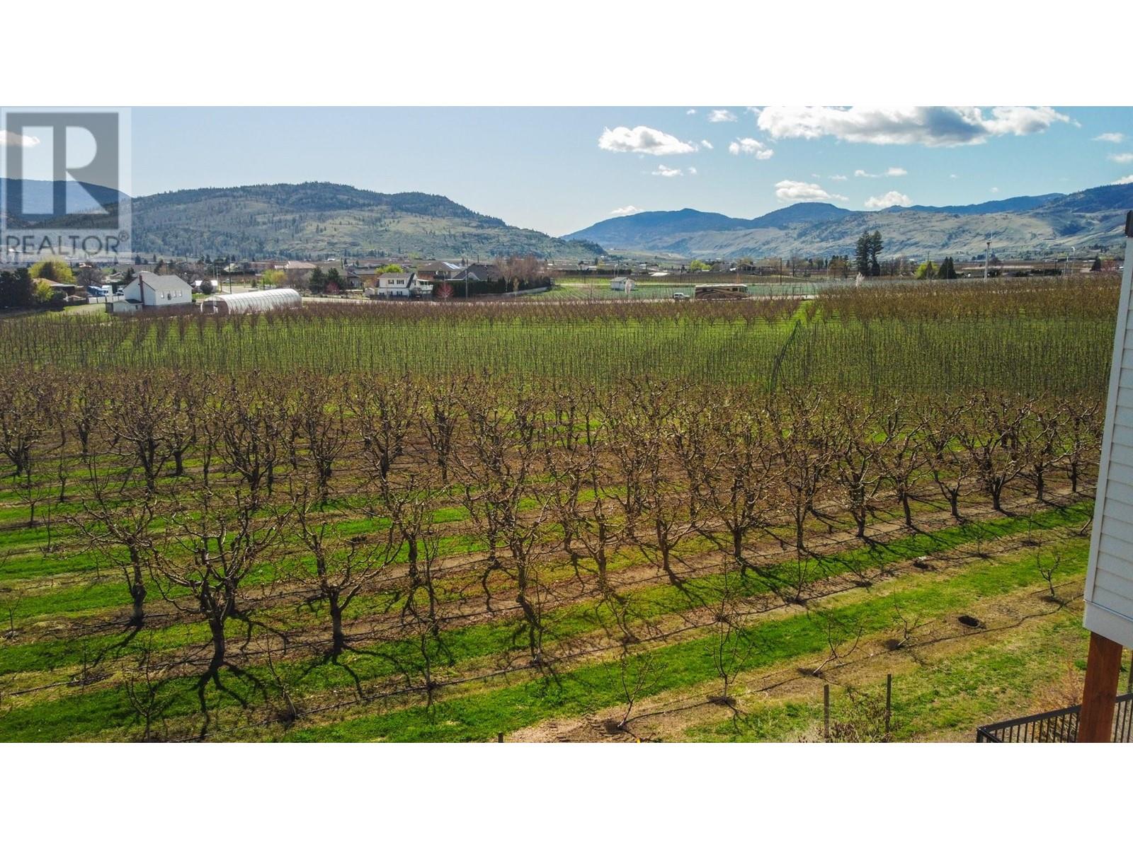 1233 Copper Road, Oliver, British Columbia  V0H 1T5 - Photo 11 - 10343710