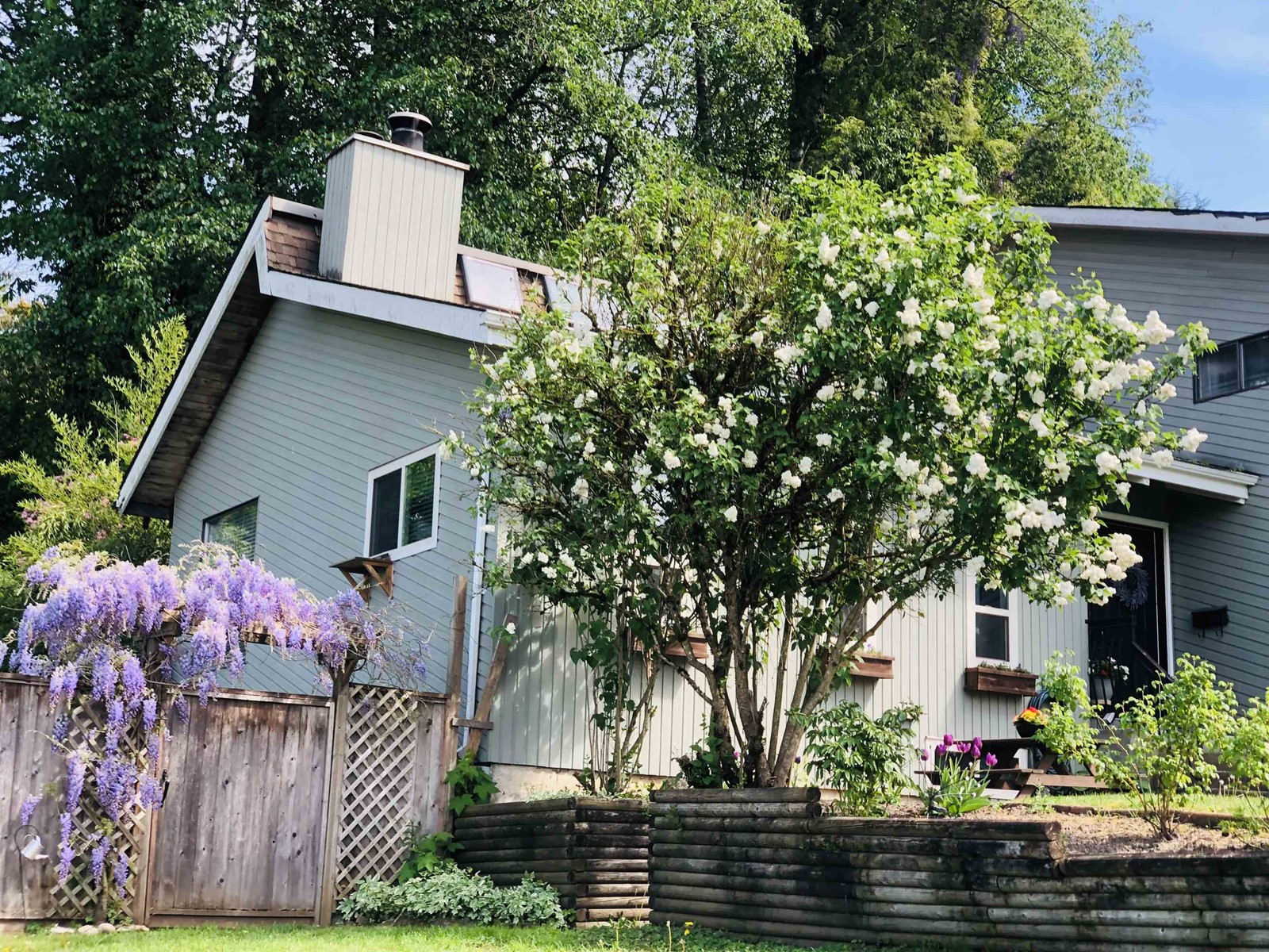 3238 Saddle Street, Abbotsford, British Columbia  V2S 4X3 - Photo 33 - R2990592