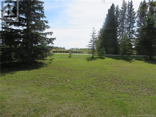 6312 47 Avenue, Rocky Mountain House, Alberta  T4T 1G3 - Photo 5 - A2117827