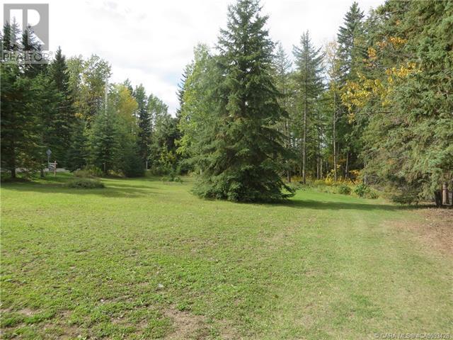 6312 47 Avenue, Rocky Mountain House, Alberta  T4T 1G3 - Photo 22 - A2117827