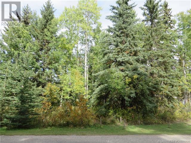 6312 47 Avenue, Rocky Mountain House, Alberta  T4T 1G3 - Photo 28 - A2117827