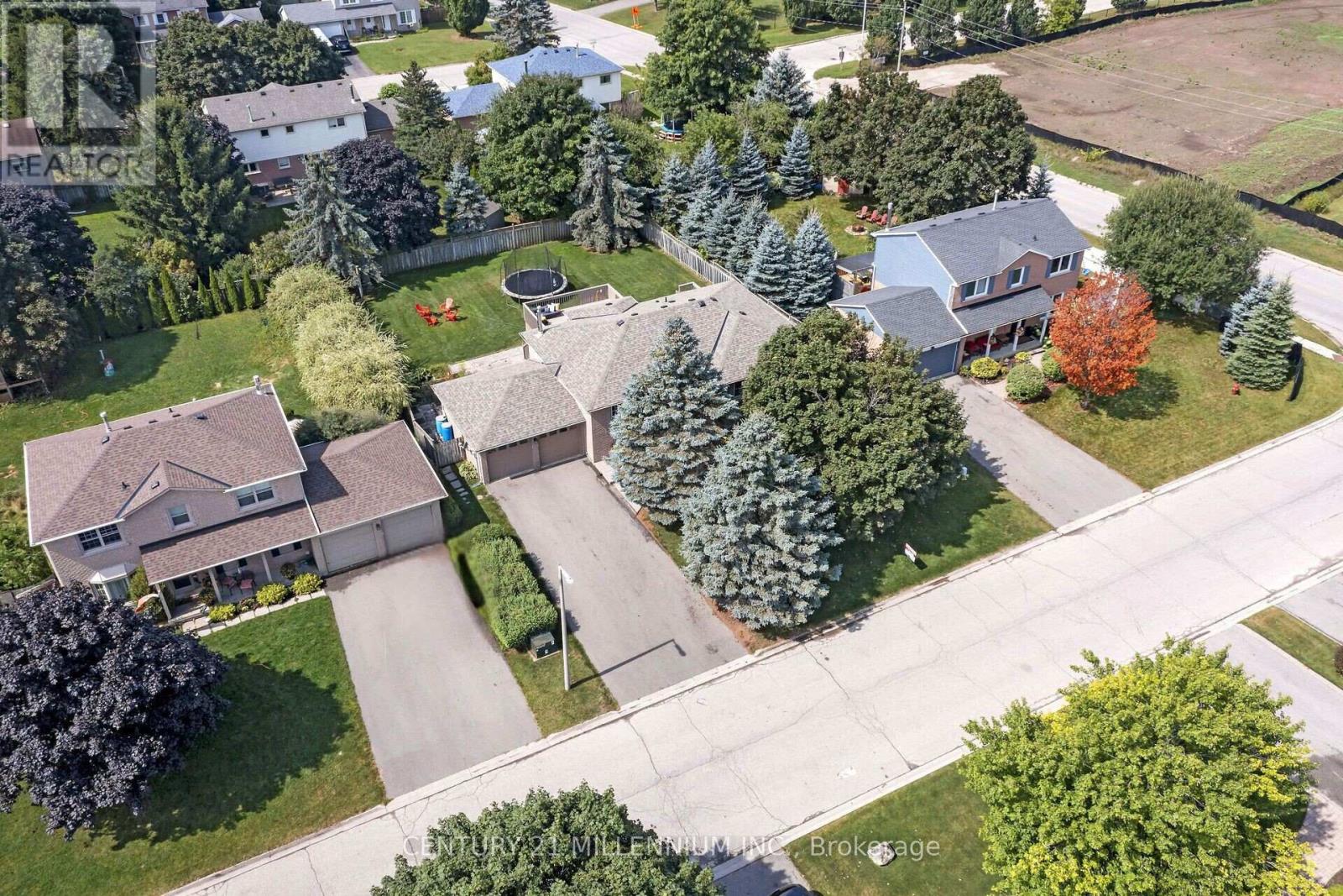 Property at 38 ERINLEA CRESCENT image 4