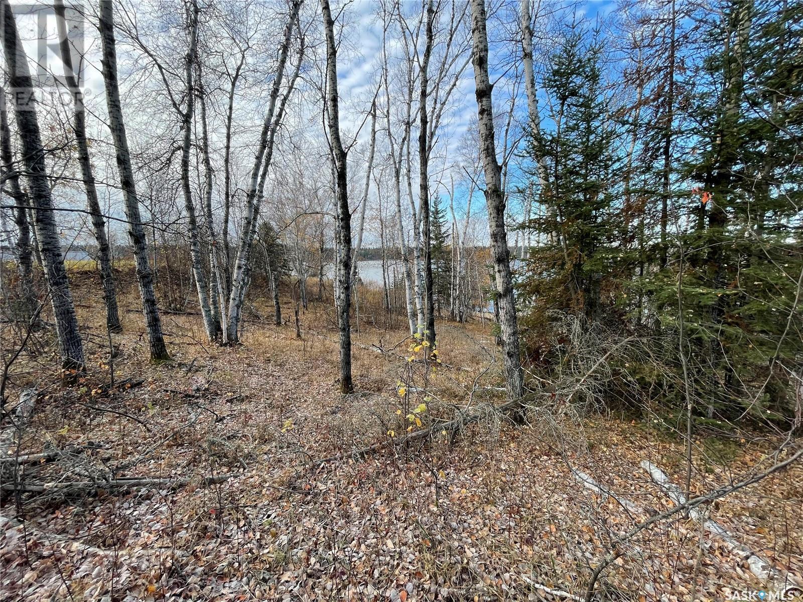 Lot 7 Sunset Cove, Cowan Lake, Big River Rm No. 555, Saskatchewan  S0J 0E0 - Photo 12 - SK002616