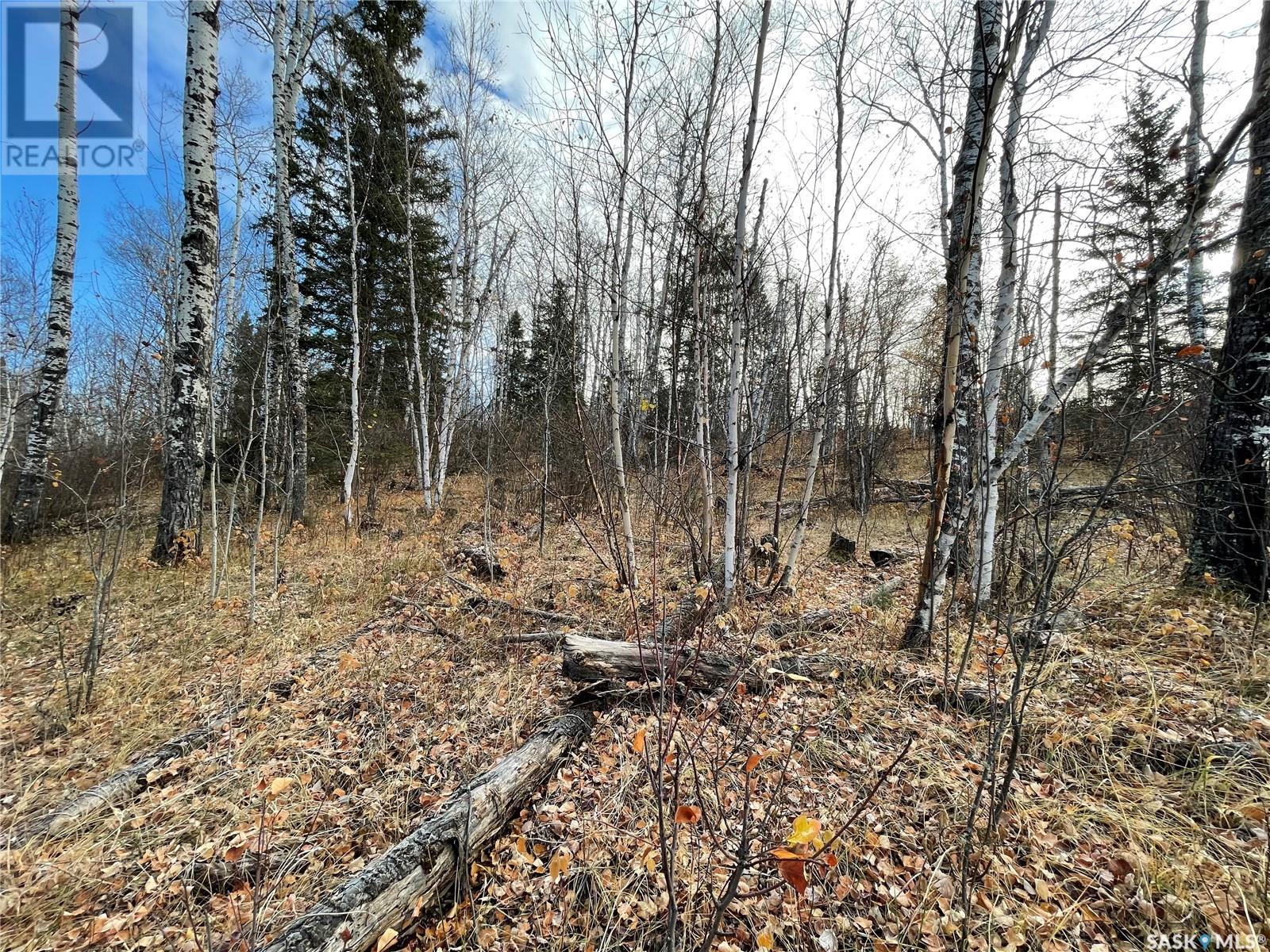 Lot 7 Sunset Cove, Cowan Lake, Big River Rm No. 555, Saskatchewan  S0J 0E0 - Photo 14 - SK002616