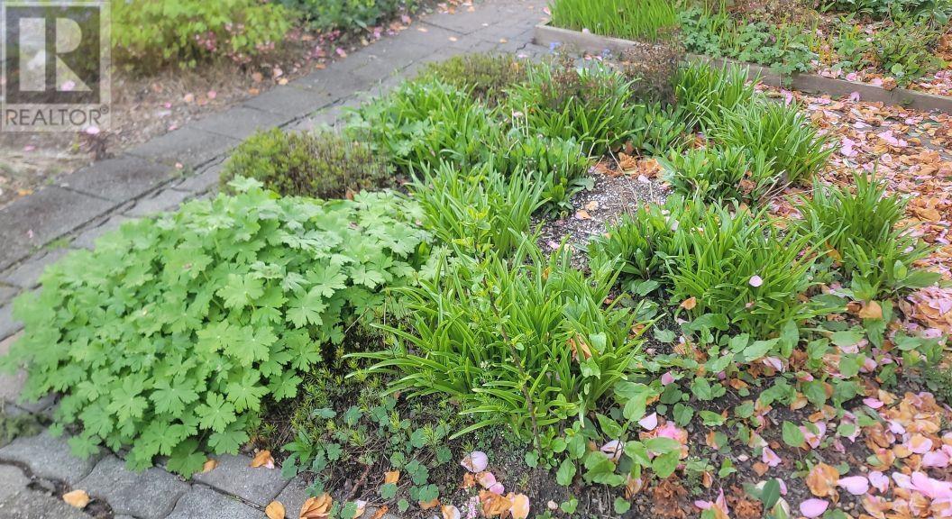 Listing Picture 33 of 35 : 4320 COLLINGWOOD STREET, Vancouver / 溫哥華 - 魯藝地產 Yvonne Lu Group - MLS Medallion Club Member