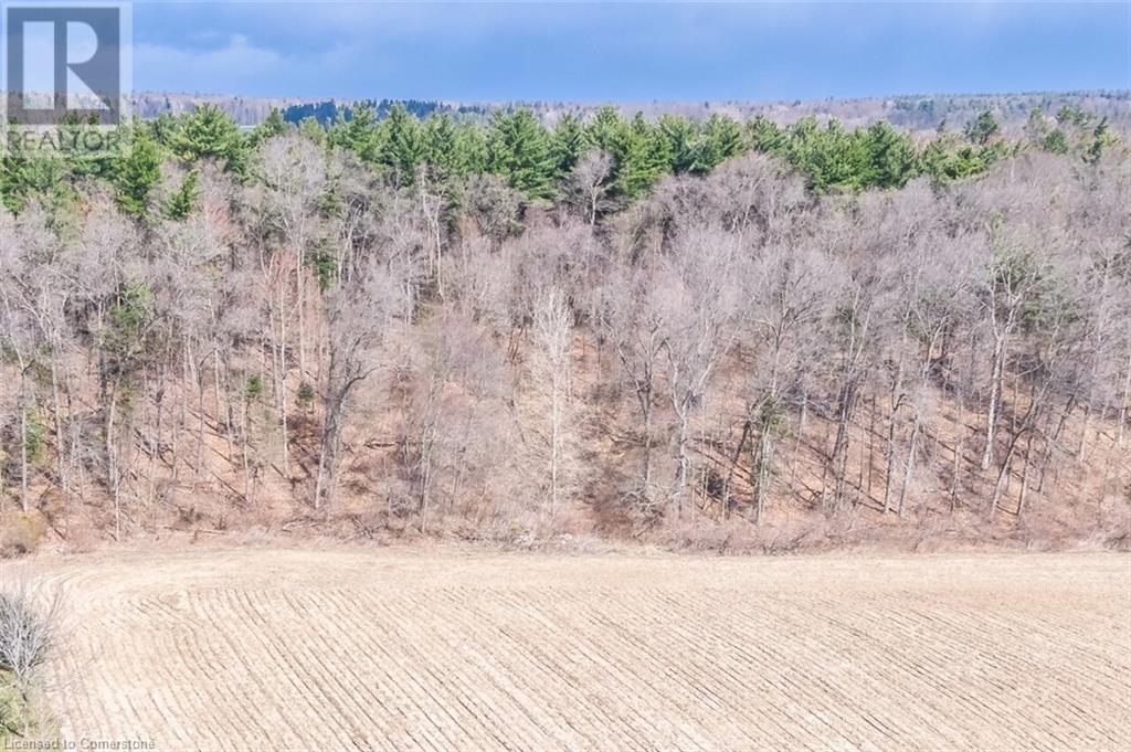 Photo 13 at 00 CHARLOTTEVILLE Road 5, Norfolk Photo 13 at 00 CHARLOTTEVILLE Road 5, Norfolk