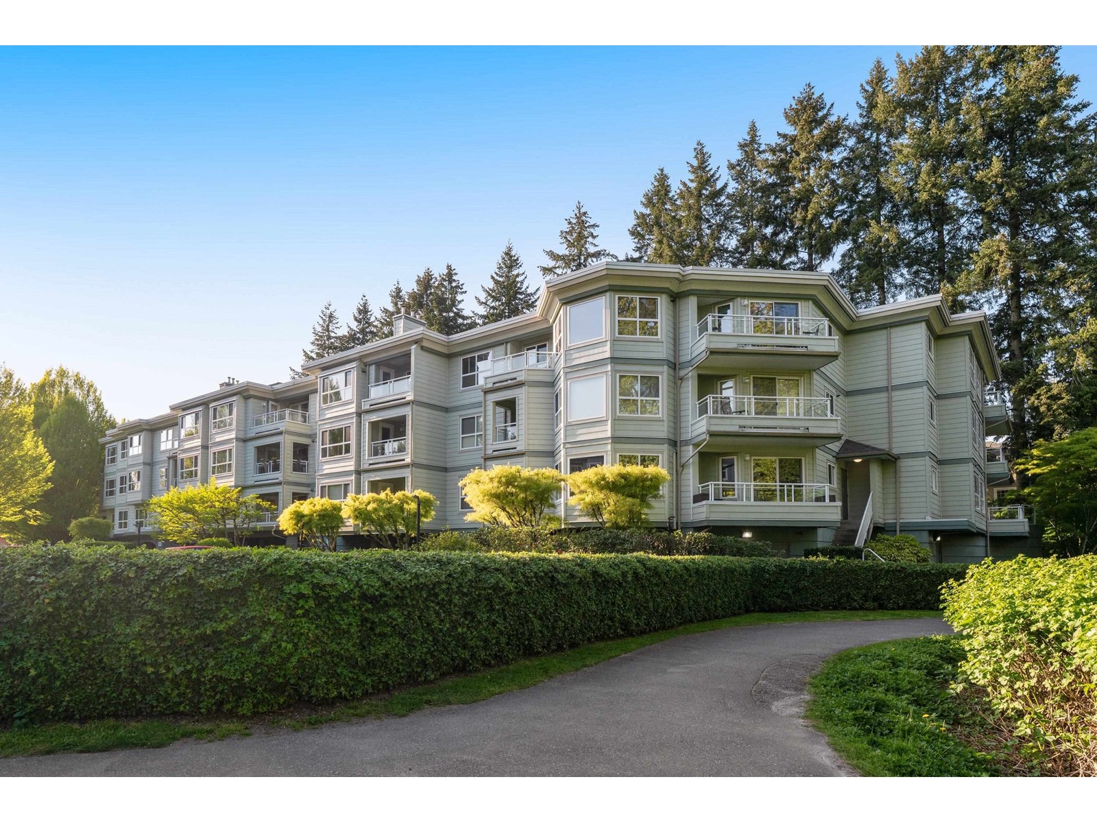 206 9018 208 Street, Langley, British Columbia  V1M 2Y8 - Photo 24 - R2991223