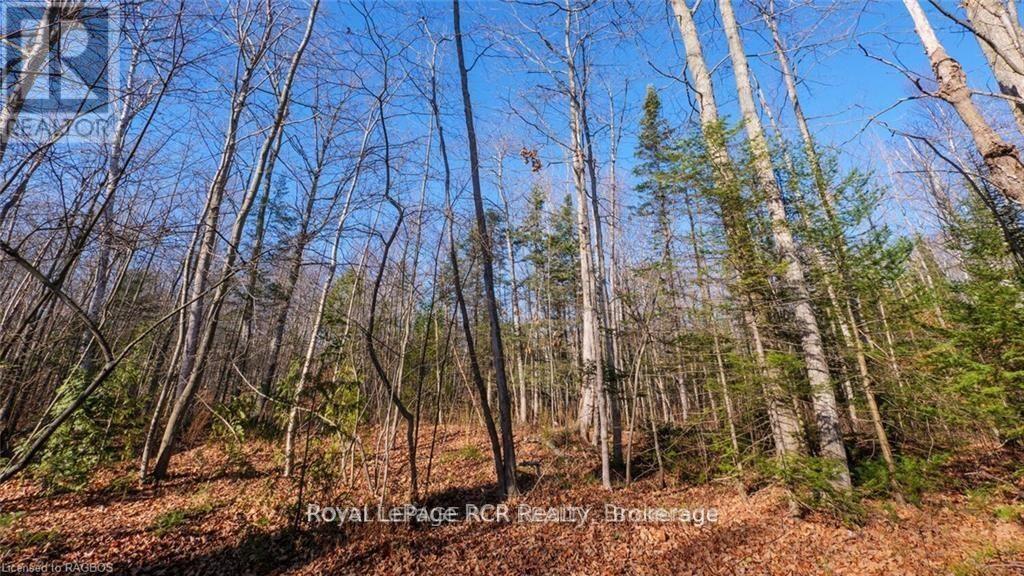 25 Avele Road E, South Bruce Peninsula, Ontario  N0H 2T0 - Photo 28 - X12087118