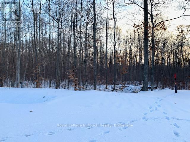 Lot 64 Whispering Pine Circle, Tiny, Ontario  L0M 0C2 - Photo 5 - S12087204